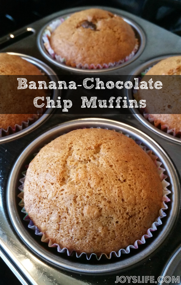 Banana-Chocolate Chip Muffins #muffins