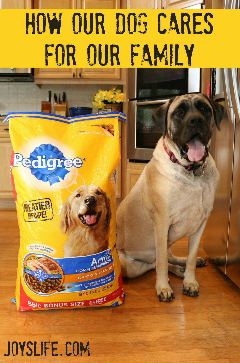 How Our Dog Cares for Our Family #PedigreeGives #ad