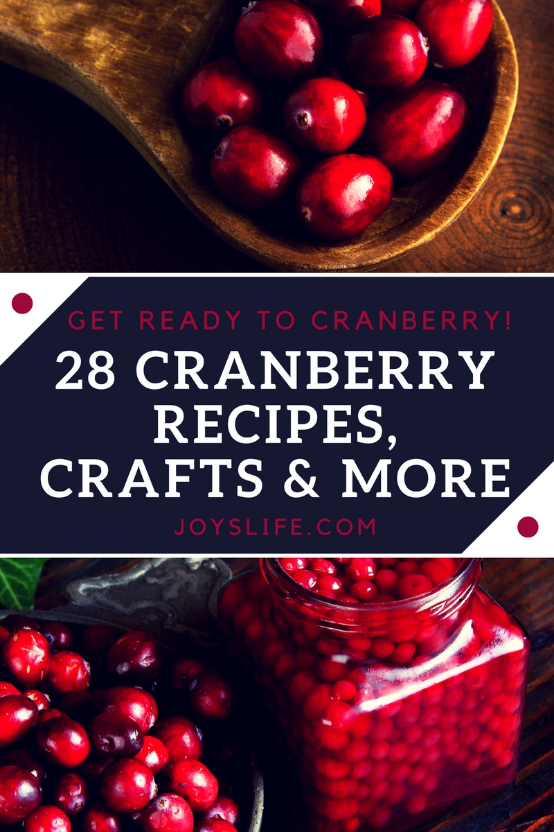 28 Cranberry Recipes Crafts and More
