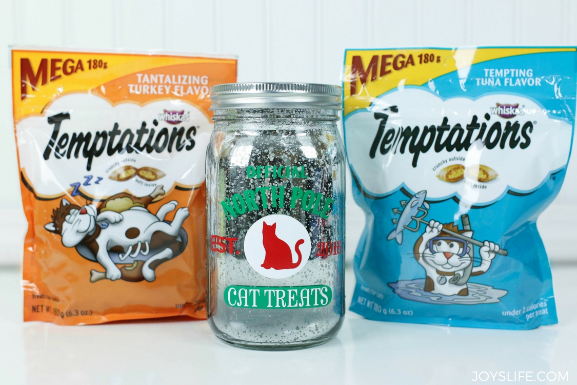 temptations cat treats jar