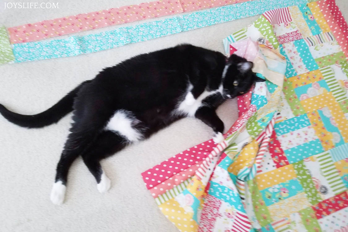 my cat domino playing with my quilt blocks
