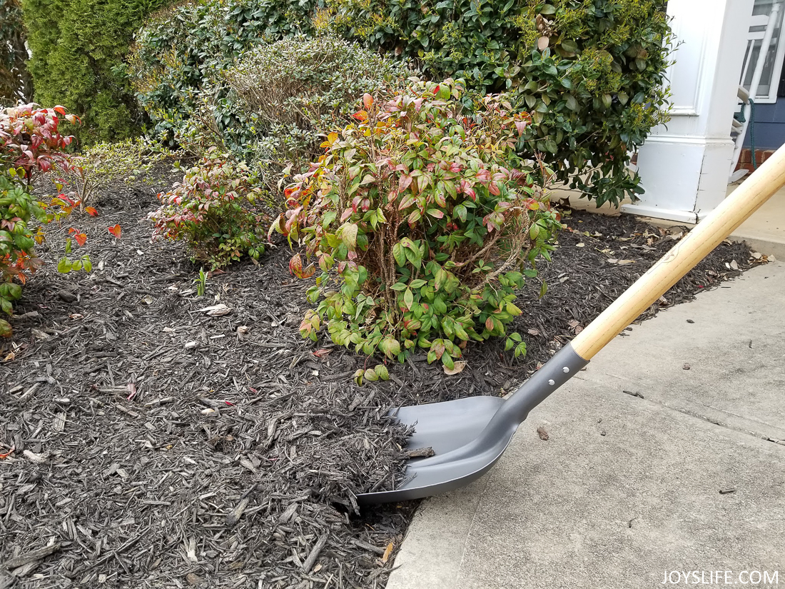 adding black mulch to flower beds