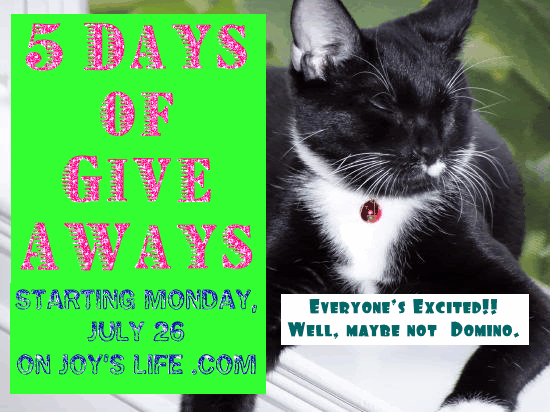 5 Days of Give-A-Ways on Joy’s Life.com!!