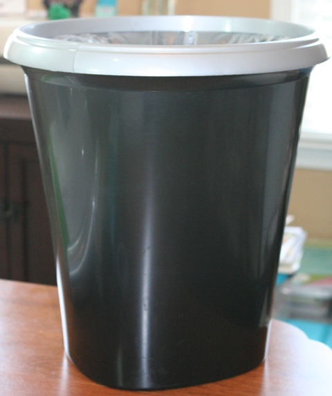 Trash Can Fancy: Vinyl Project - Overthrow Martha