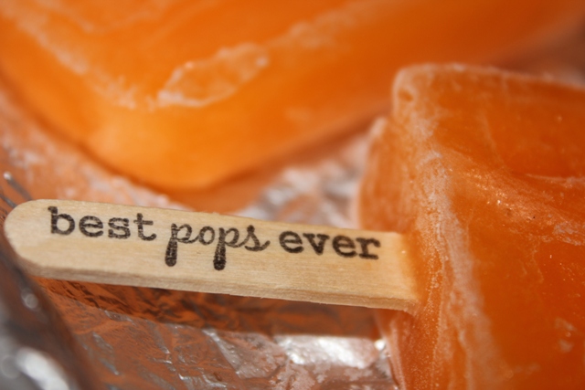 How to Stamp on Popsicle Sticks & Popsicle Recipe #popsicle #summercrafts #crafts #joyslife