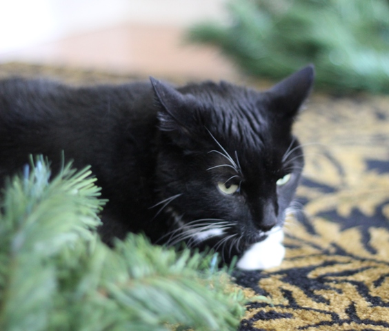 Using Vinyl to Mark Artificial Christmas Tree Branches