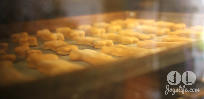 pumpkin dog biscuits baking in oven