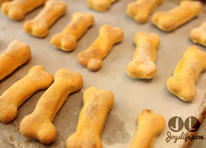 pumpkin dog bone treats at joyslife