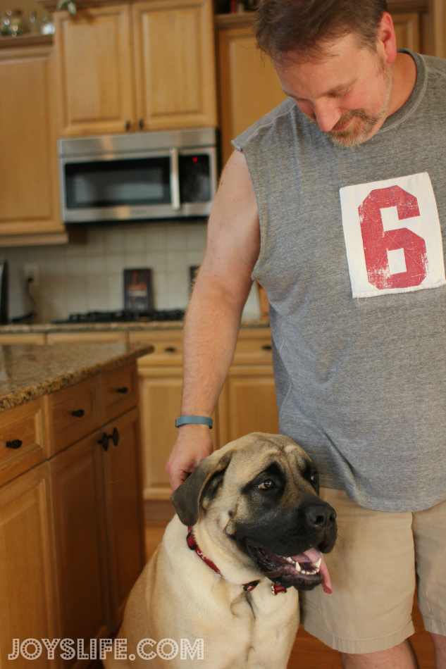 Keeping My Dog, Saban, Healthy and Happy This Summer #petarmorprotects #EnglishMastiff #puppy