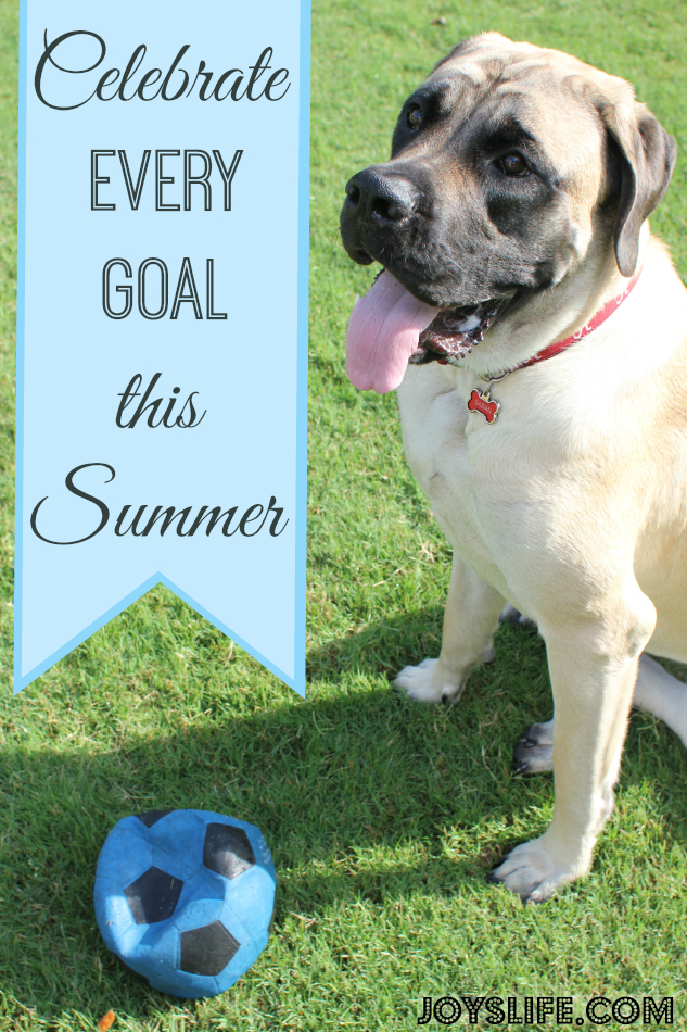 Celebrate Every Goal This Summer #CelebrateEveryGoal #shop #cbias