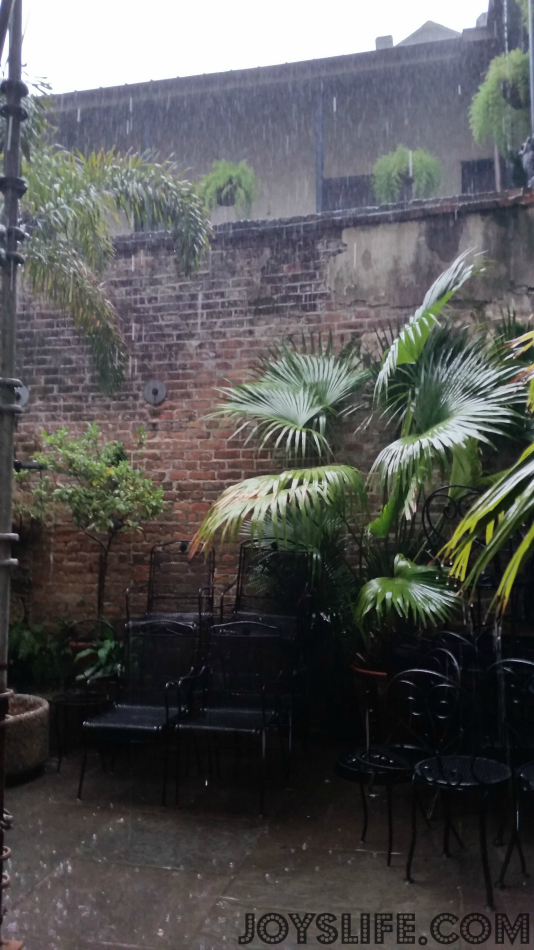 Mom & Daughter Trip to New Orleans Day 3 Part 2 #NOLA #NewOrleans #FrenchQuarter #NapoleonHouseRestaurant #Muffaletta #PimmsCup #courtyard #roadtrip