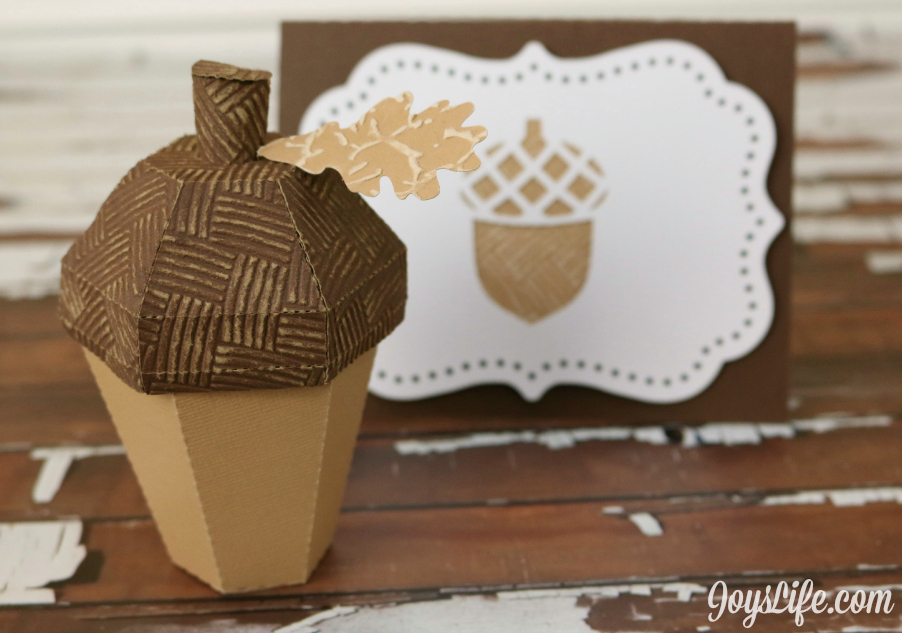 3D Acorn Box and Card #Coredinations #SilhouetteCameo #3d #Acorn #JoysLifeStamps