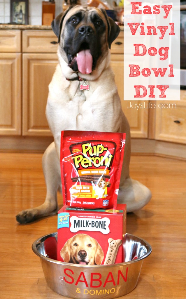 Easy Vinyl Dog Bowl DIY with Milk-Bone & Pup-Peroni  #TreatThePups #Ad #SilhouetteCameo #DIY #EnglishMastiff #DogBowl