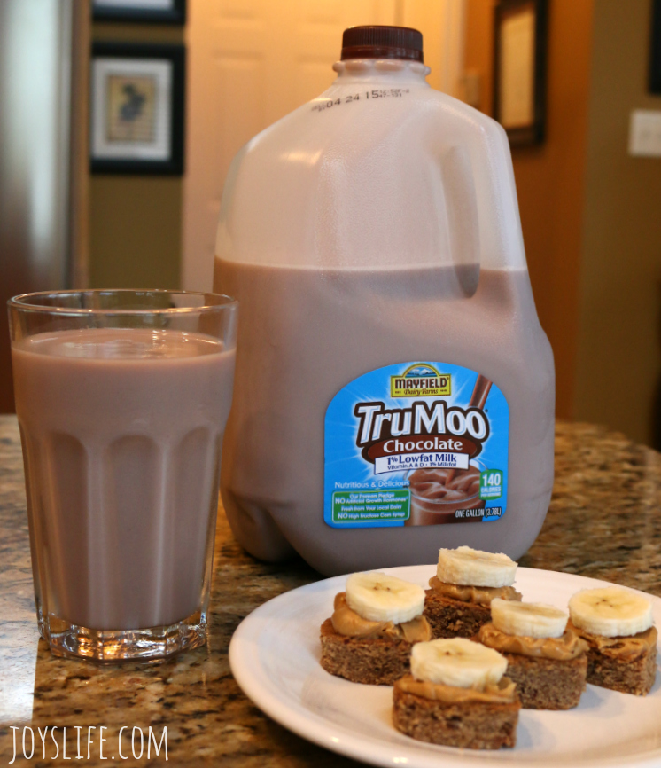 Make Healthy Snacks with this Protein Oat Bread Recipe & TruMoo