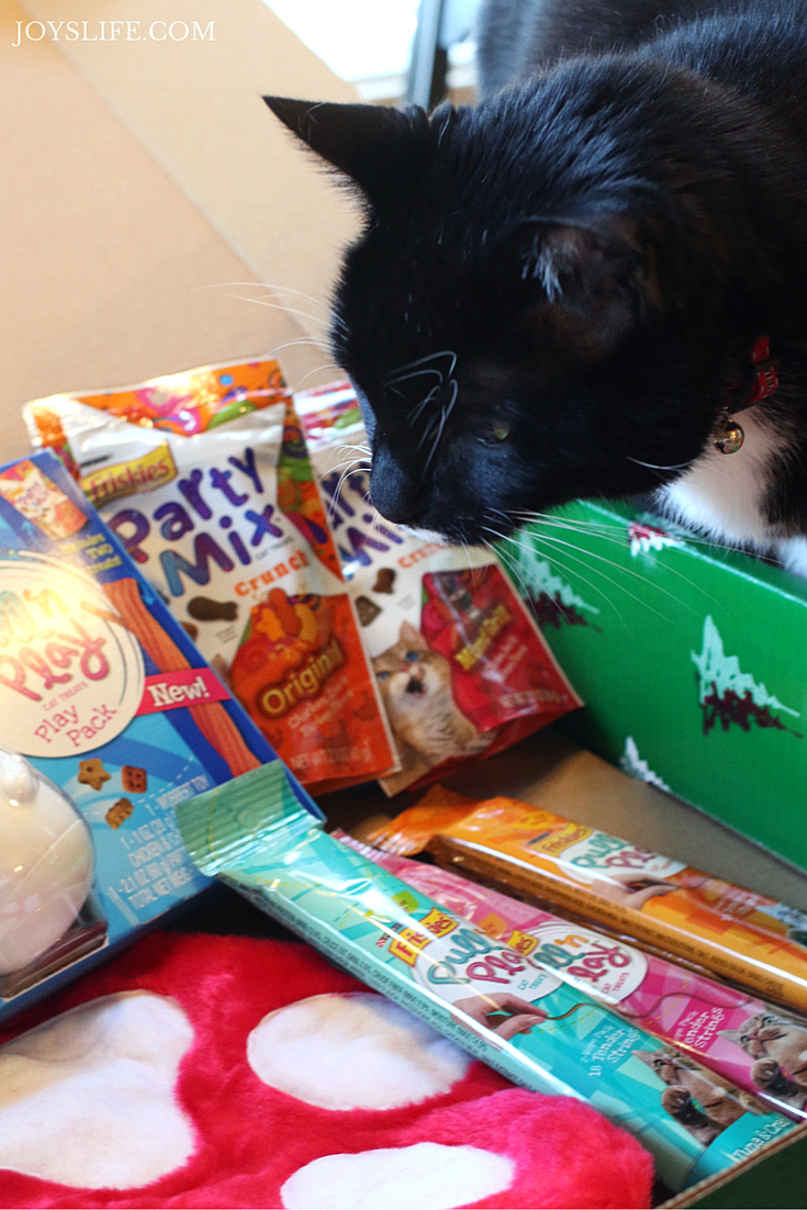 Friskies Pull ’n Play Combo Pack Giveaway #Friskies #ad #giveaway #cats