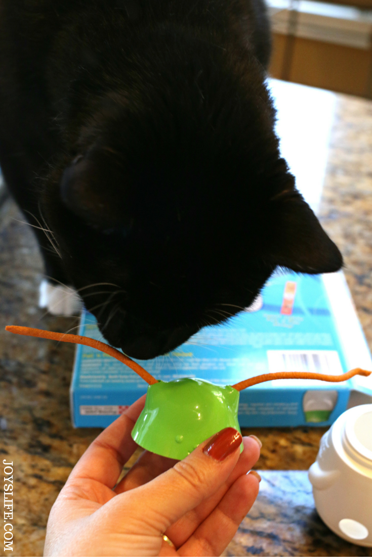 Friskies Pull ’n Play Combo Pack Giveaway #Friskies #ad #giveaway #cats