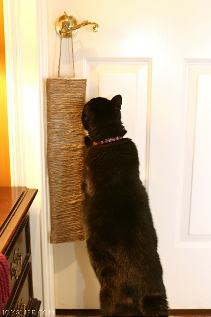 Make a DIY Cat Scratcher & New Cat Care Kit #yougottabekittenme #CollectiveBias