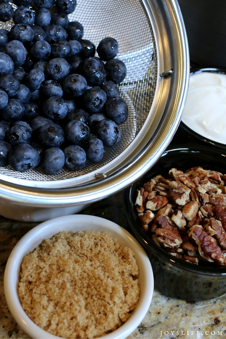 Baked Pecan and Blueberry Oatmeal Brulee