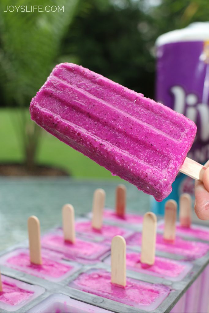 Dragonfruit Popsicle Recipe – Joy's Life