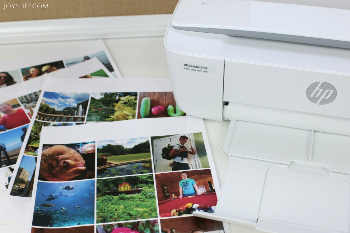 HP Color Photo Prints