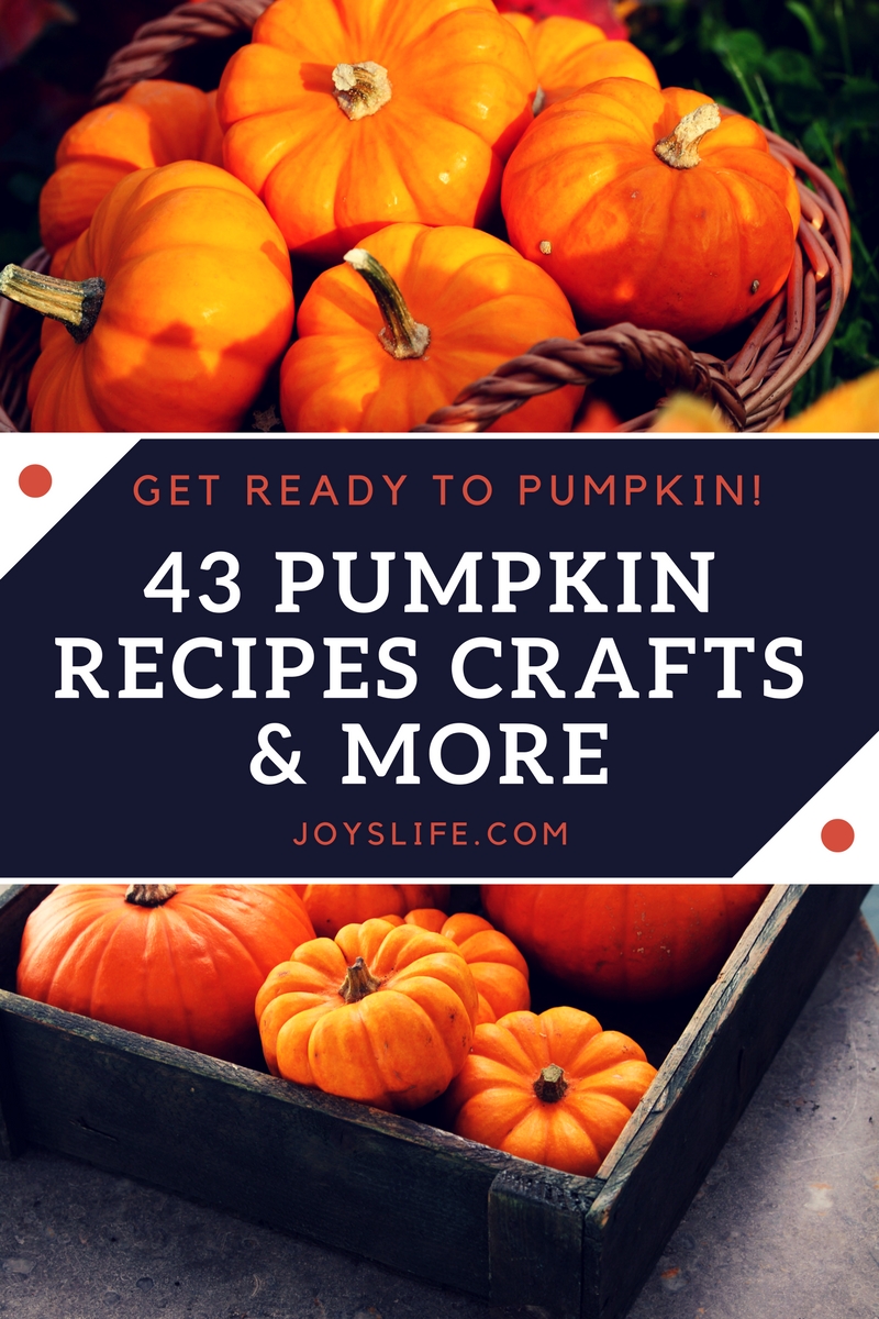 43 Pumpkin Recipes, Crafts & More