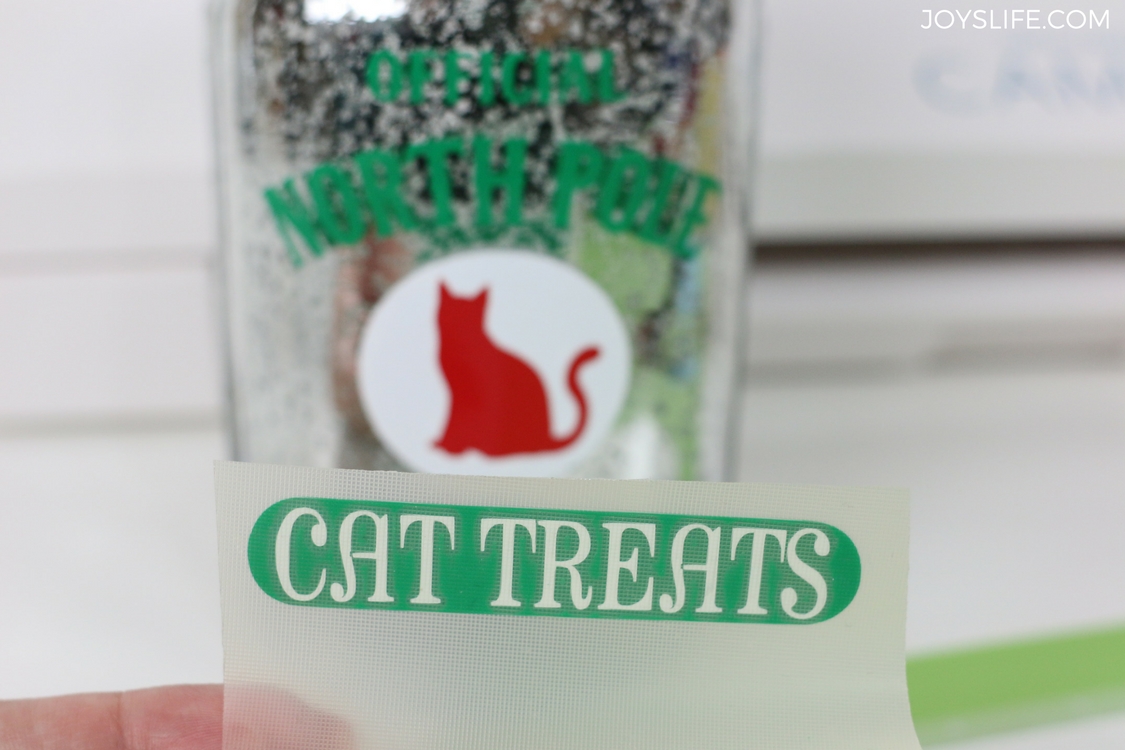 cat treats vinyl letters on transfer tape