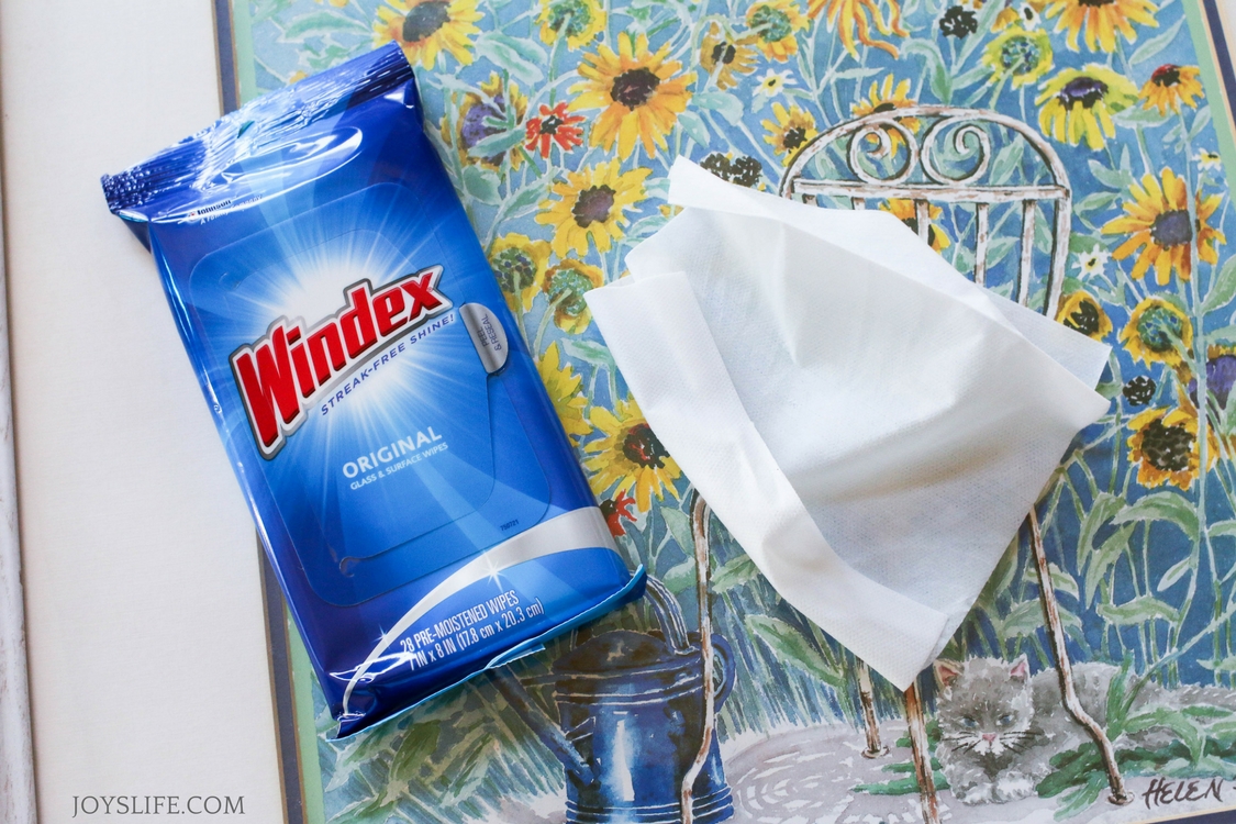 Windex wipes sunflower