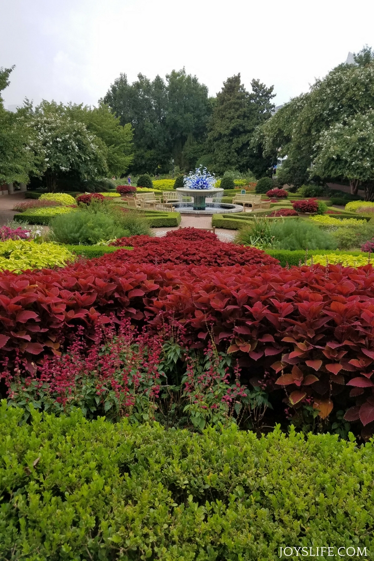 Atlanta botanical gardens in bloom