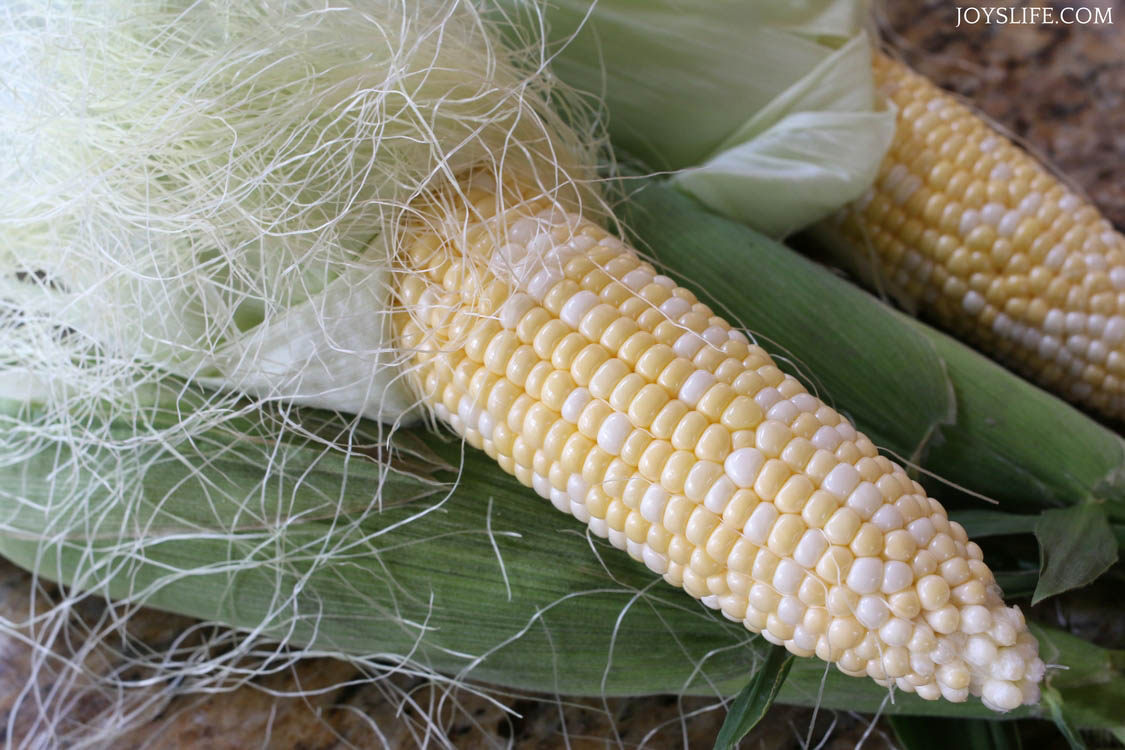 sunshine sweet corn