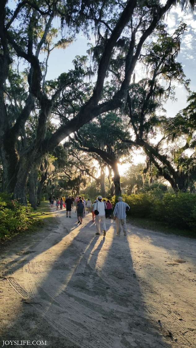 Savannah Bonaventure Cemetery