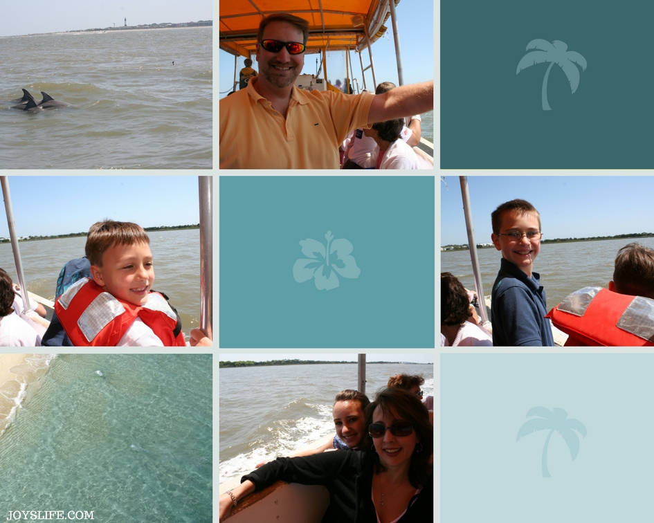 Dolphin Cruise Tybee Island