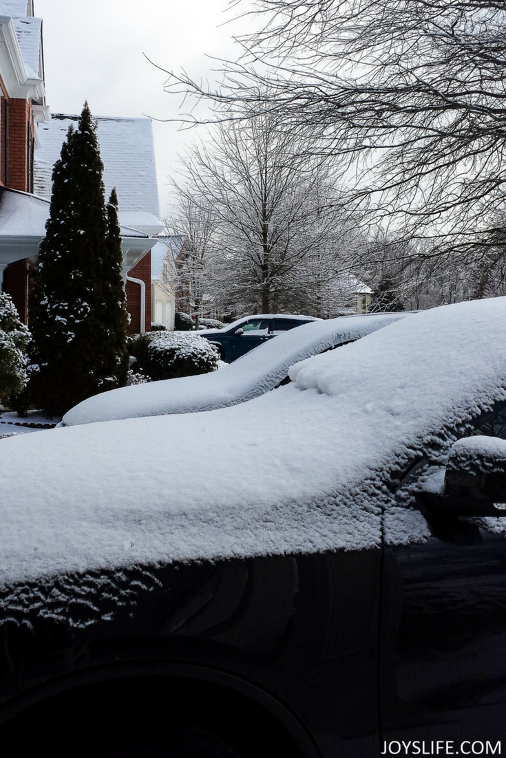 Snow covered cars