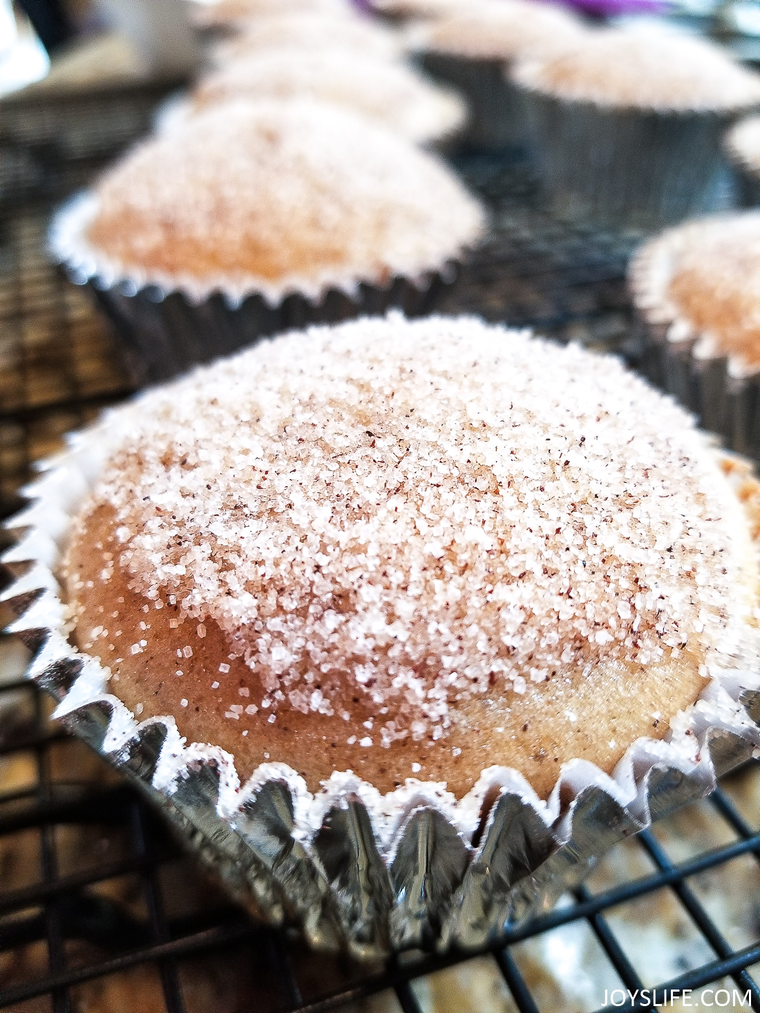 spiced cider muffins recipe