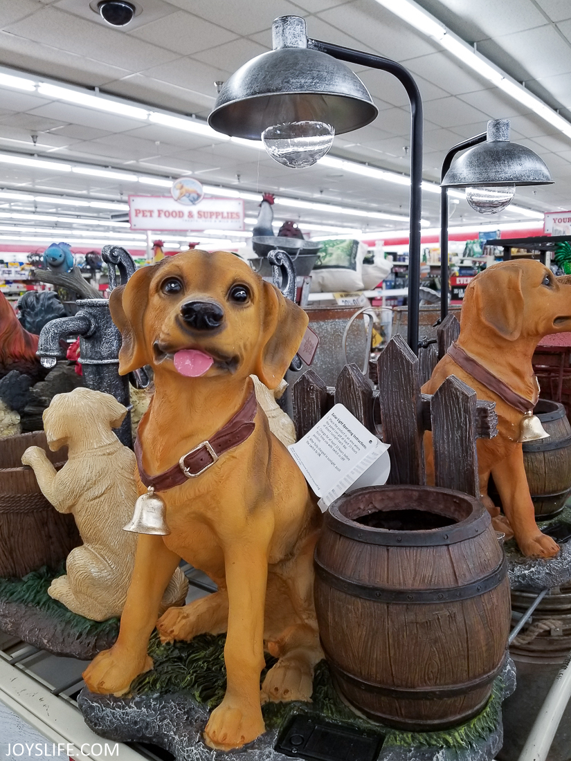Dog light at Tractor Supply Co