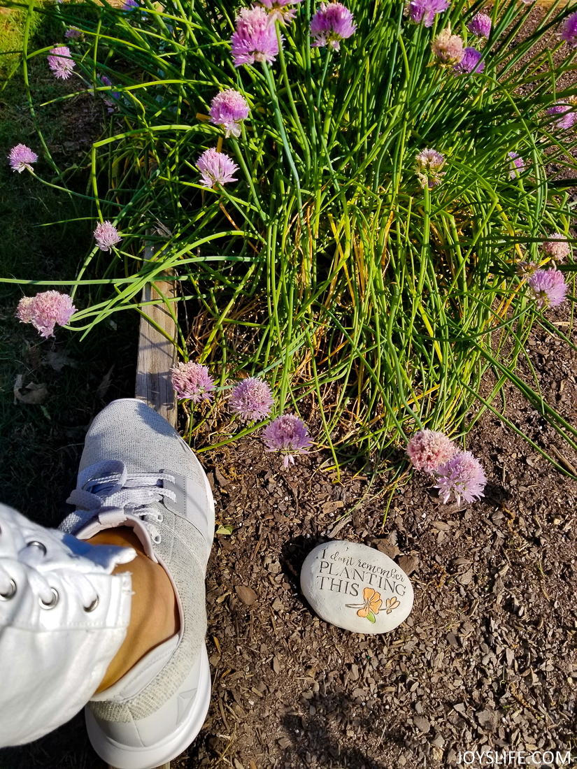 Reebok Trilux Onion Blossom in Garden