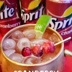 Cranberry Mule Cocktail